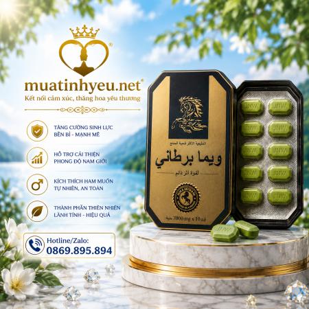Thuốc cường dương nam thảo dược Ngựa Thái