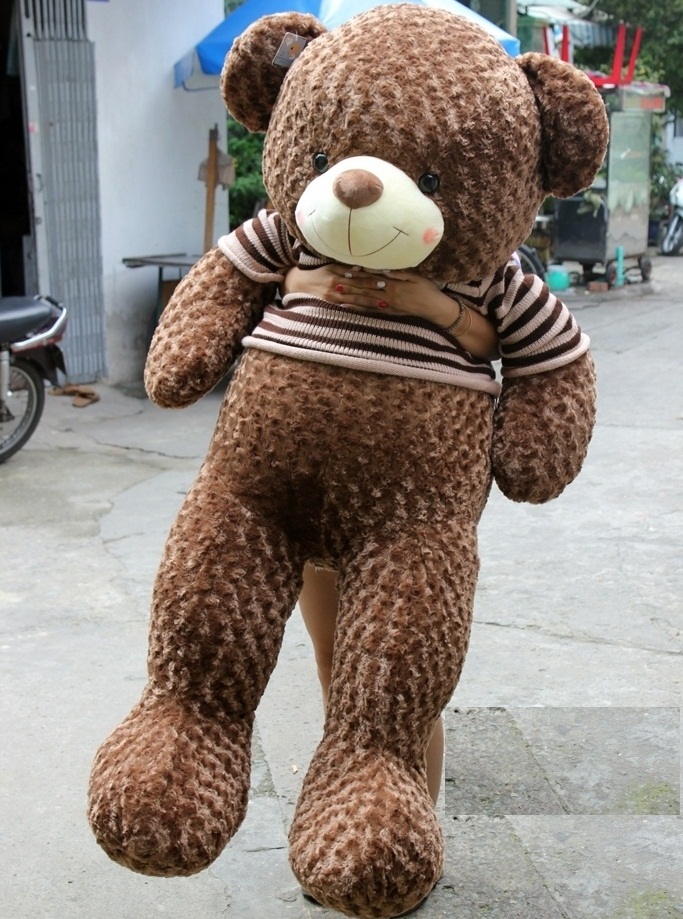 gấu bông mõm trắng teddy limited